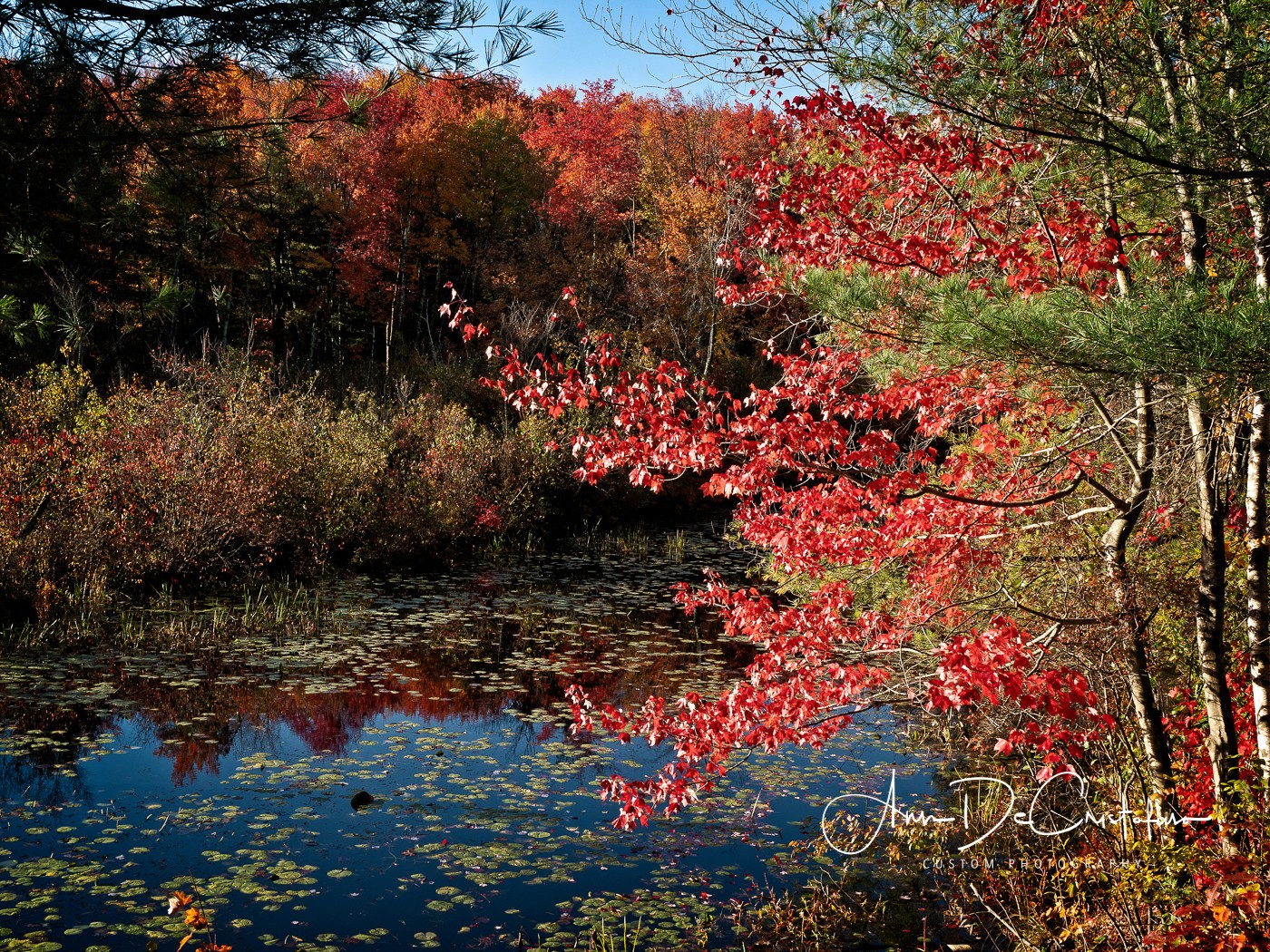 PA141901 Edit.JPG