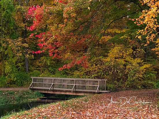 PA192041.JPG