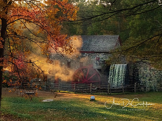 PA192016.JPG
