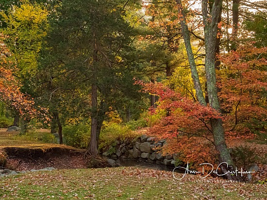 PA192052.JPG