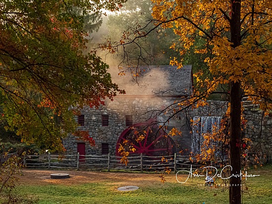 PA192056.JPG